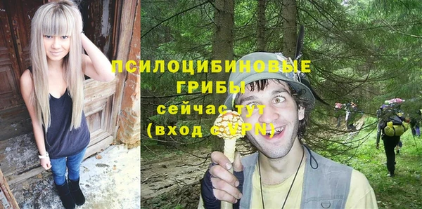винт Алексин